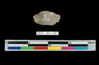 藏品(水晶)的圖片